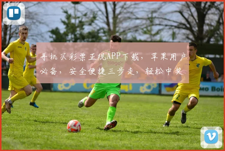手机买彩票正规APP下载，苹果用户必备，安全便捷三步走，轻松中奖