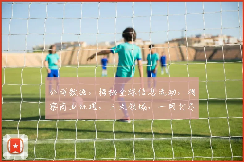 公海数据，揭秘全球信息流动，洞察商业机遇，三大领域，一网打尽，助力企业腾飞。