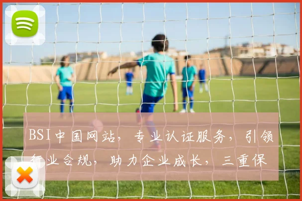 BSI中国网站，专业认证服务，引领行业合规，助力企业成长，三重保障，值得信赖。