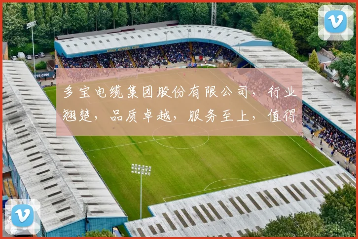 多宝电缆集团股份有限公司，行业翘楚，品质卓越，服务至上，值得信赖，电缆专家。